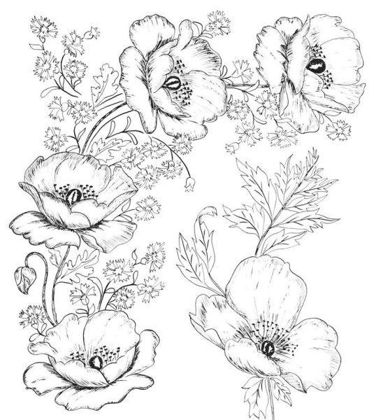 Эскизы цветов для вышивки гладью