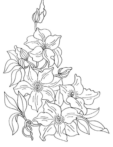 Трафареты для витража цветы