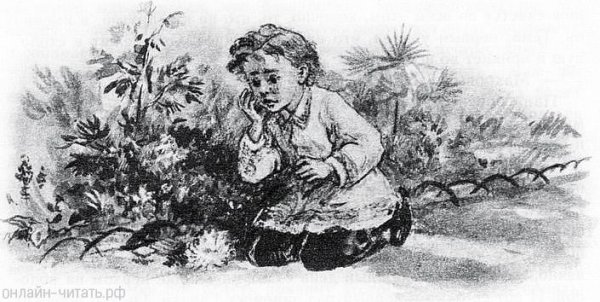 Гарин Михайловский детство тёмы глава неудачный день