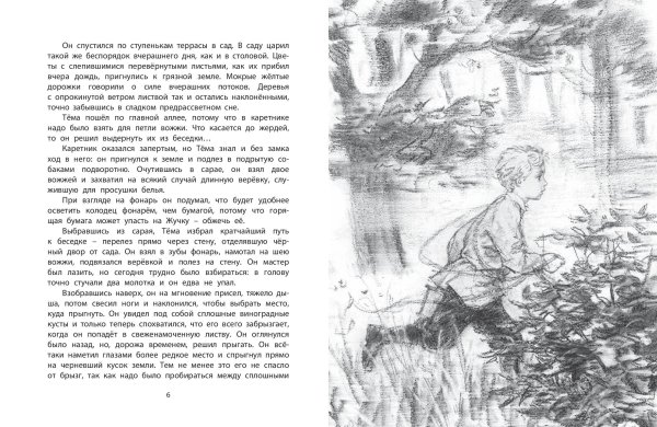 Сказка н.г Гарина-Михайловского тёма и жучка