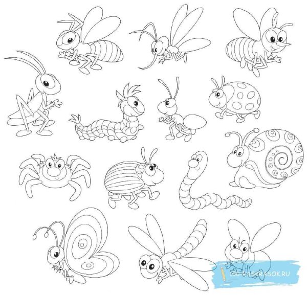 Раскраска насекомые много