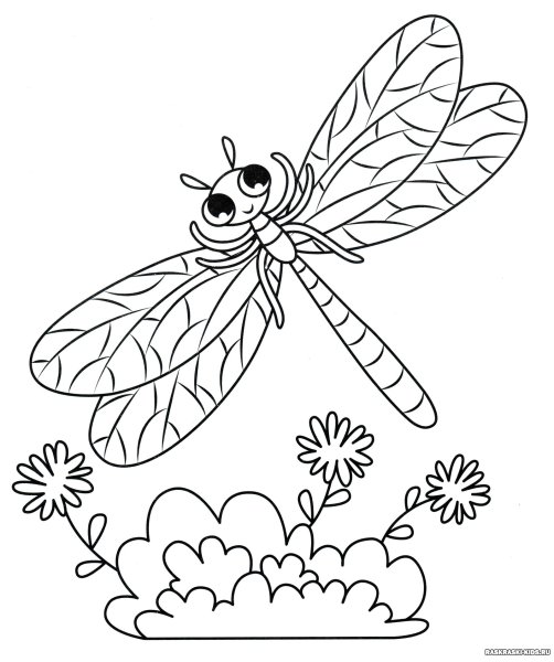 Стрекоза раскраска для детей