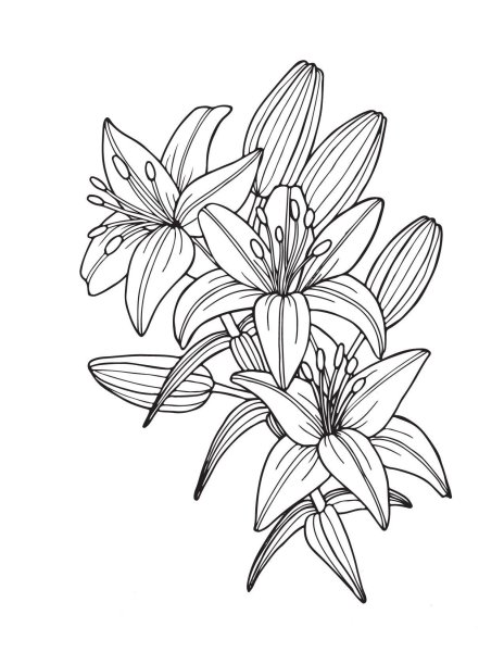 Букет лилий раскраска