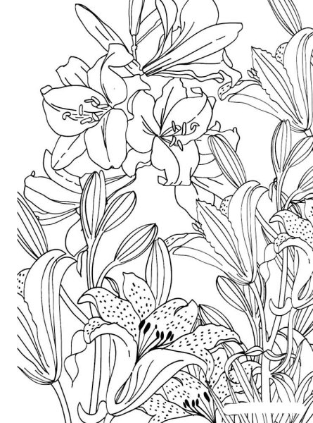 Раскраска антистресс "цветы"