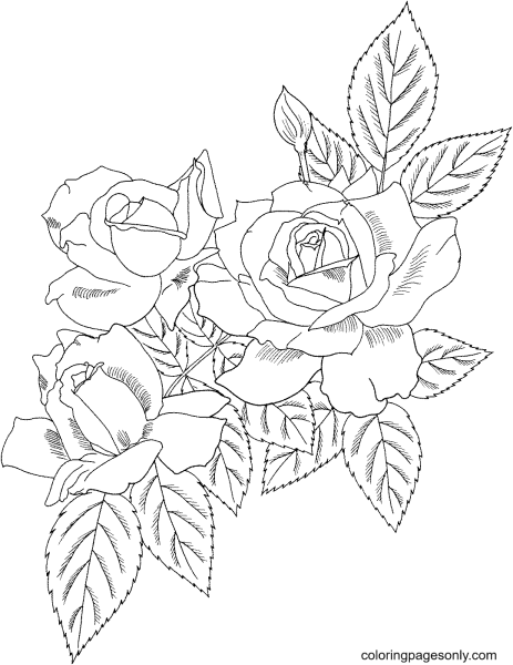 Контуры цветов для вышивки