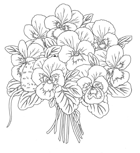 Эскизы цветов для вышивки