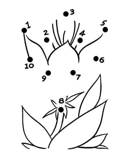 Рисование цветов по точкам