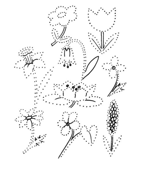 Цветок по точкам