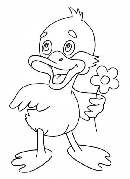 Утёнок раскраска для детей