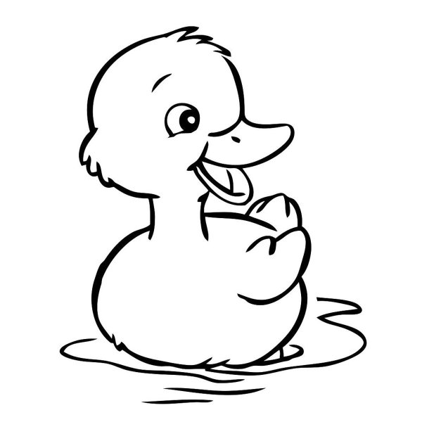 Утка на английском