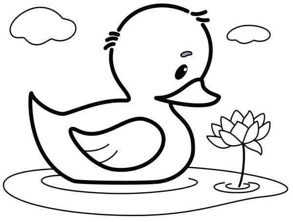 Утка раскраска для детей