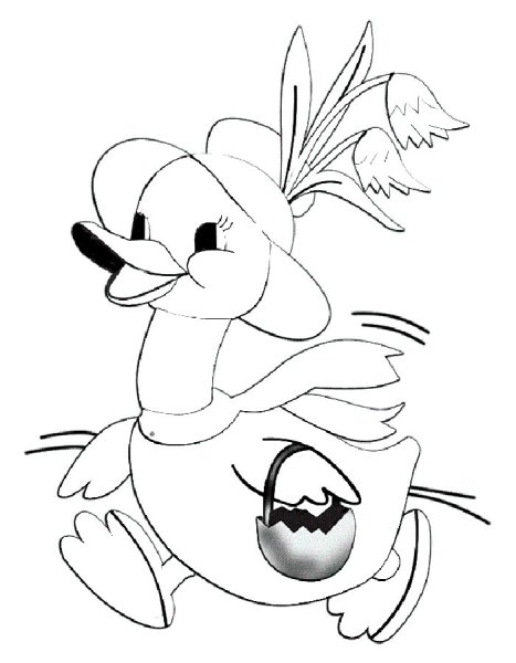 Раскраска уточка