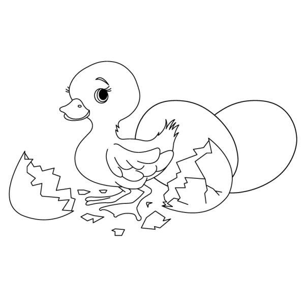 Цыпленок и утенок раскраска