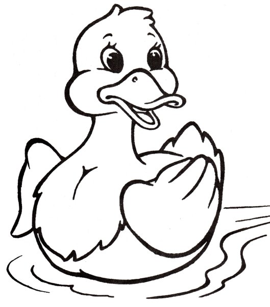 Утка раскраска