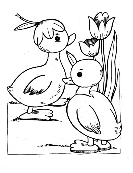 Утенок раскраска