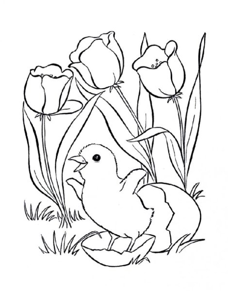 Весенние рисунки для детей