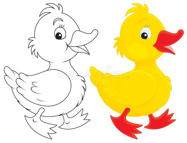 Цыпленок и утенок контур