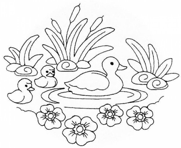 Уточки в пруду раскраска