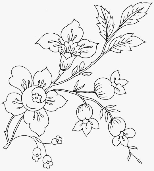 Узоры для вышивки гладью