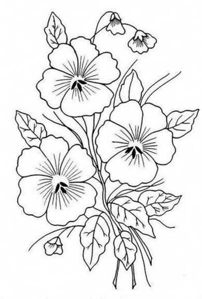 Анютины глазки