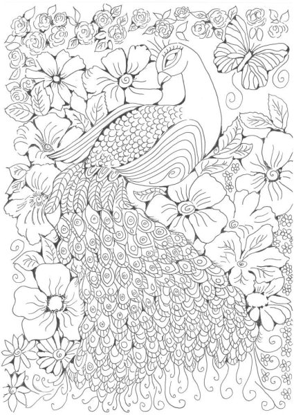 Сложная раскраска Павлин