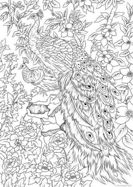 Павлин антистресс