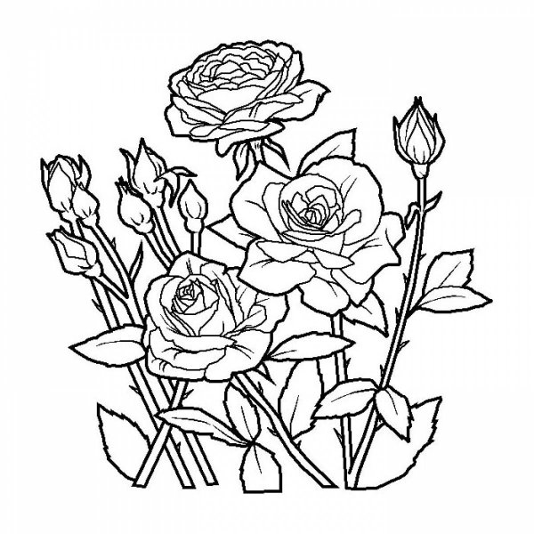 Цветы. Раскраска