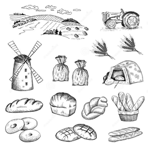 Хлеб задания для детей