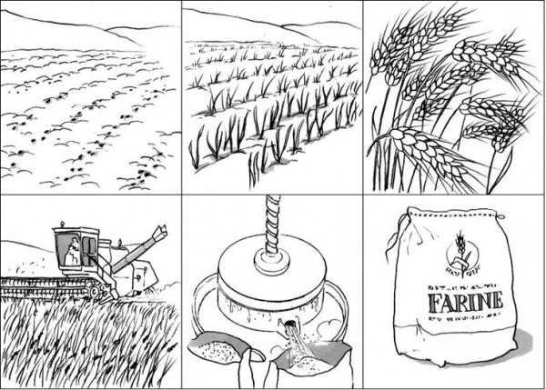 Раскраска хлебное поле для детей