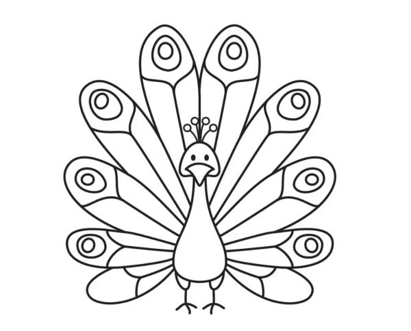Голова павлина раскраска