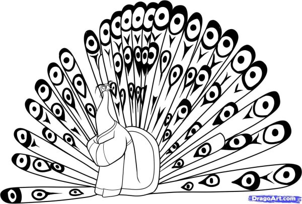 Раскраска кунг фу Панда Павлин