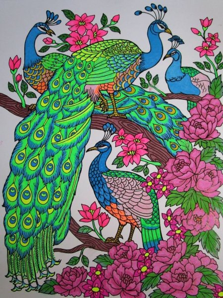 Павлин антистресс