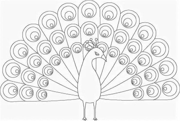 Шаблон павлина