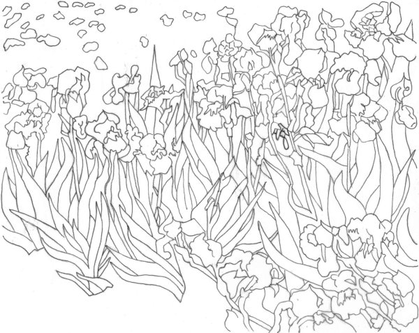 Ван Гог ирисы картина