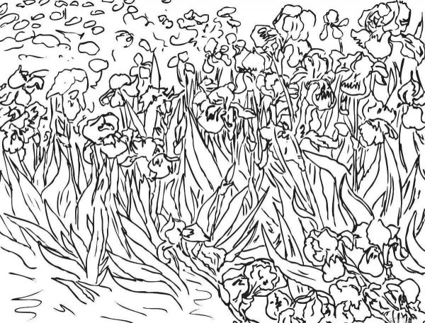 Ван Гог ирисы черно белый