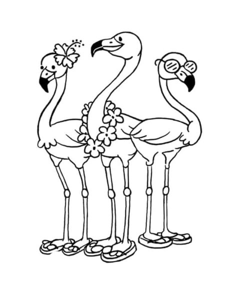Фламинго рисунок раскраска
