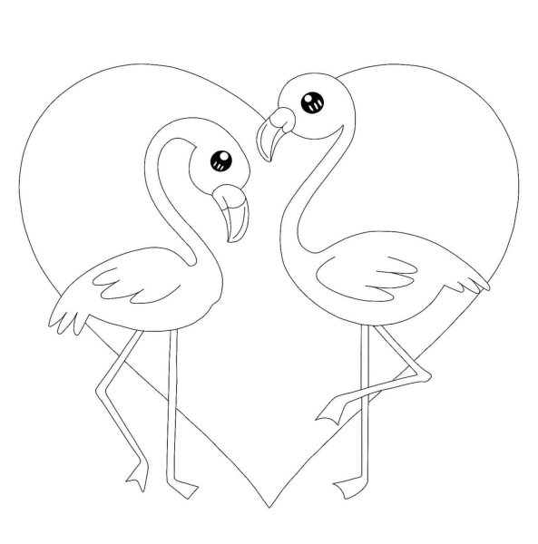 Фламинго раскраска для детей