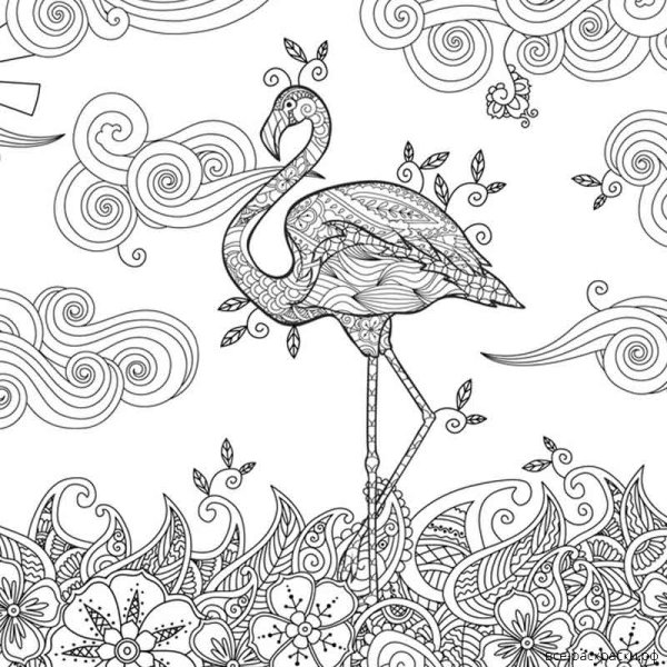 Раскраска Фламинго сложная