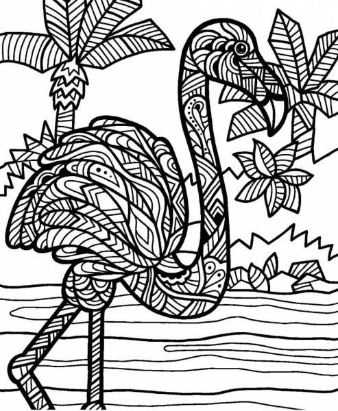 Раскраски для девочек сложные Фламинго