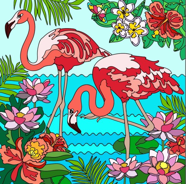 Раскраска Фламинго