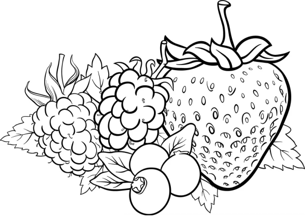 Ягоды раскраска для детей