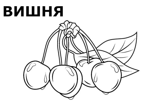 Ягоды раскраска для детей