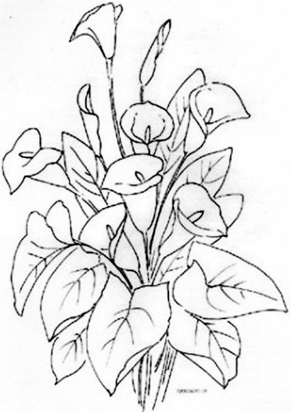 Трафареты цветов каллы