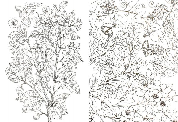 Раскраска антистресс