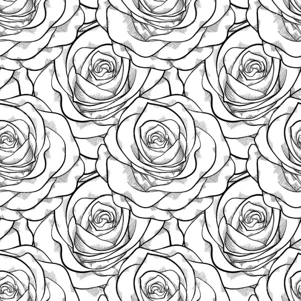 Раскраска антистресс розы