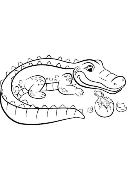 Раскраска крокодил
