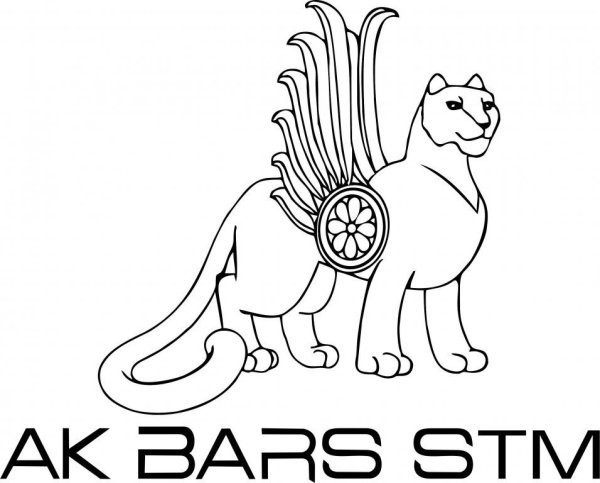 АК Барс рисунок