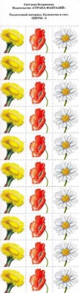 Раздаточный материал цветы