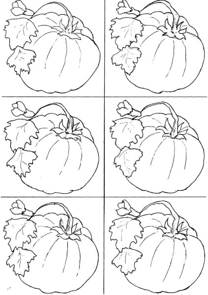 Овощи на листе раскраска