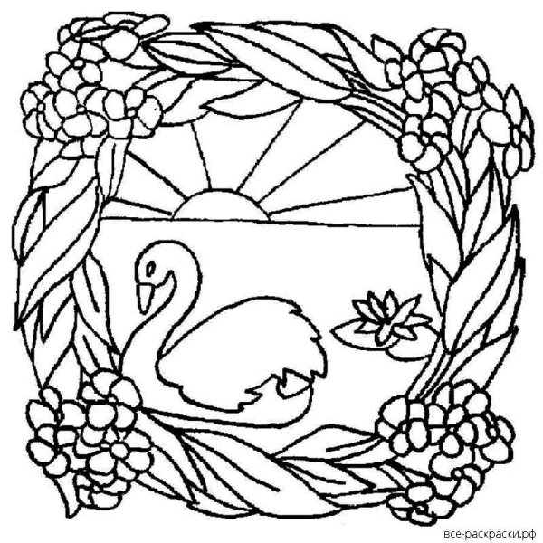 Раскраска 2 лебедя и цветы